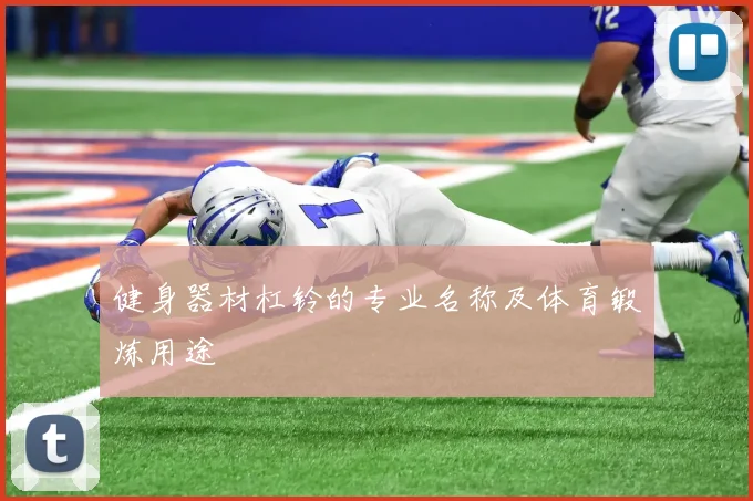 健身器材杠铃的专业名称及体育锻炼用途