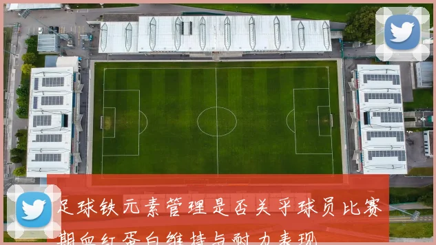 足球铁元素管理是否关乎球员比赛期血红蛋白维持与耐力表现