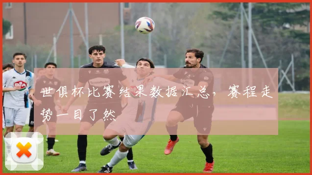 世俱杯比赛结果数据汇总，赛程走势一目了然