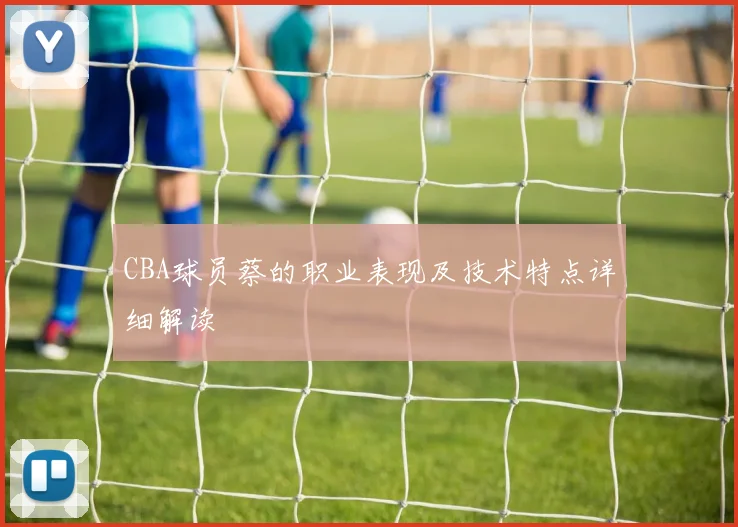 CBA球员蔡的职业表现及技术特点详细解读